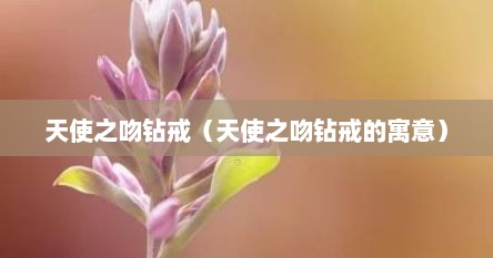 天使之吻钻戒（天使之吻钻戒的寓意）