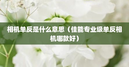 相机单反是什么意思（佳能专业级单反相机哪款好）