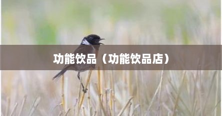 功能饮品（功能饮品店）