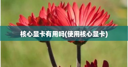 核心显卡有用吗(使用核心显卡)