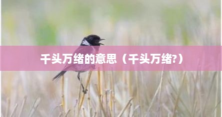 千头万绪的意思（千头万绪?）