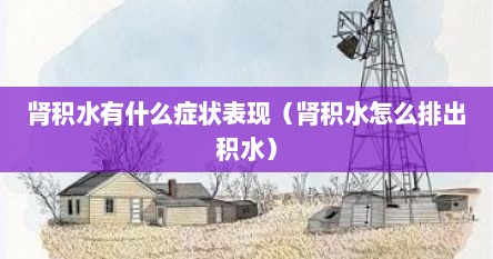 肾积水有什么症状表现（肾积水怎么排出积水）