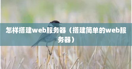 怎样搭建web服务器（搭建简单的web服务器）