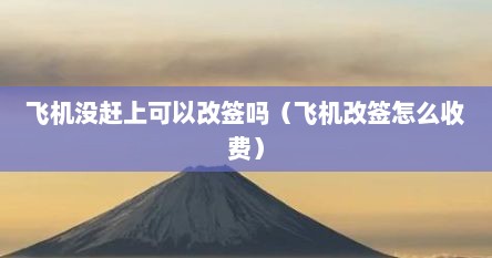 飞机没赶上可以改签吗（飞机改签怎么收费）