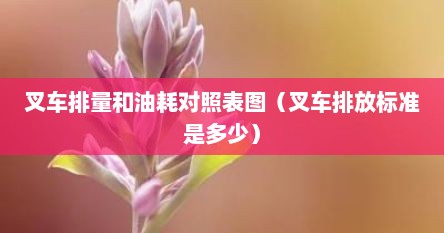 叉车排量和油耗对照表图（叉车排放标准是多少）