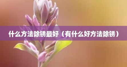 什么方法除锈最好（有什么好方法除锈）