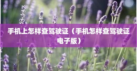 手机上怎样查驾驶证（手机怎样查驾驶证电子版）