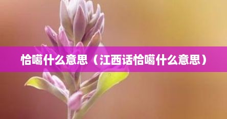 恰噶什么意思（江西话恰噶什么意思）