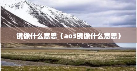 镜像什么意思（ao3镜像什么意思）