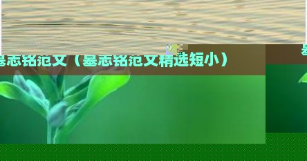 墓志铭范文（墓志铭范文精选短小）