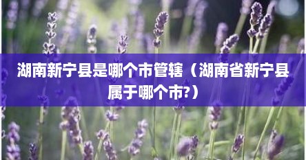 湖南新宁县是哪个市管辖（湖南省新宁县属于哪个市?）