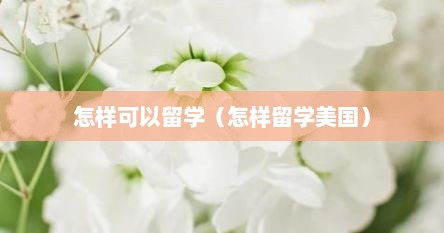 怎样可以留学（怎样留学美国）