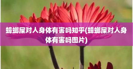 蟑螂屎对人身体有害吗知乎(蟑螂屎对人身体有害吗图片)