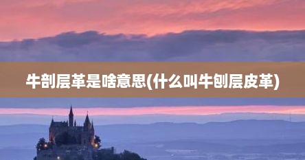 牛剖层革是啥意思(什么叫牛刨层皮革)