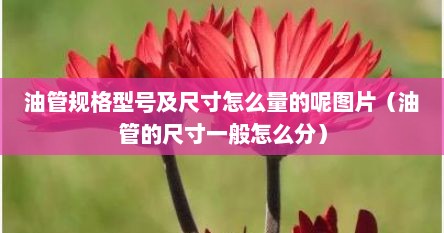 油管规格型号及尺寸怎么量的呢图片（油管的尺寸一般怎么分）