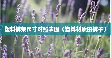 塑料裤架尺寸对照表图（塑料材质的裤子）