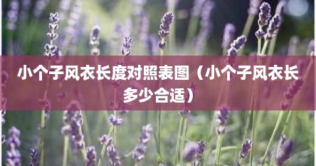 小个子风衣长度对照表图（小个子风衣长多少合适）