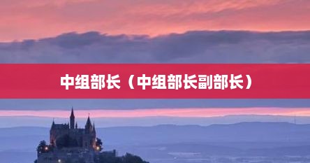 中组部长(中组部长副部长)