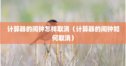 计算器的闹钟怎样取消（计算器的闹钟如何取消）