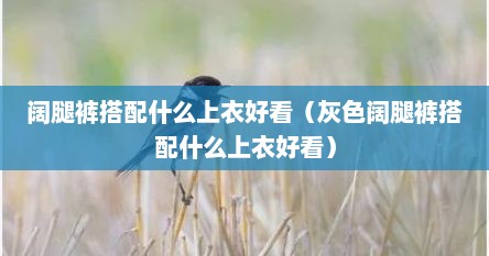 阔腿裤搭配什么上衣好看（灰色阔腿裤搭配什么上衣好看）