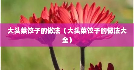 大头菜饺子的做法（大头菜饺子的做法大全）