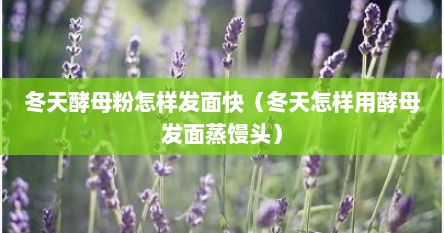 冬天酵母粉怎样发面快（冬天怎样用酵母发面蒸馒头）