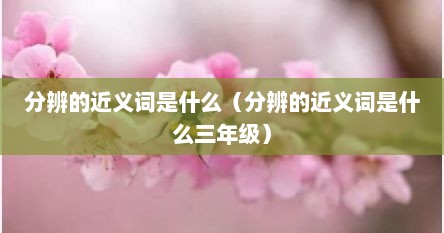 分辨的近义词是什么（分辨的近义词是什么三年级）