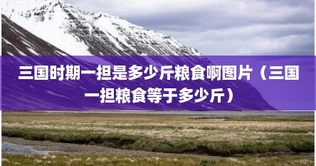 三国一升粮食是多少钱（三国一石粮食多少钱）