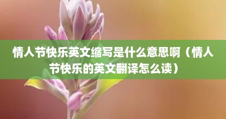 情人节快乐英文缩写是什么意思啊（情人节快乐的英文翻译怎么读）