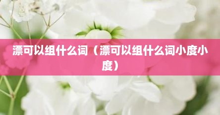 漂可以组什么词（漂可以组什么词小度小度）