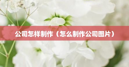 公司怎样制作（怎么制作公司图片）