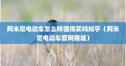 阿米尼电动车怎么样值得买吗知乎（阿米尼电动车官网商城）