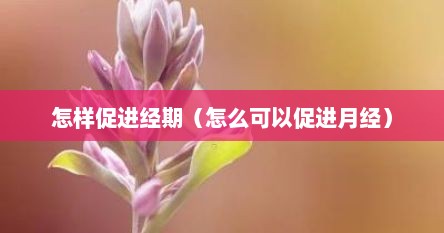怎样促进经期（怎么可以促进月经）