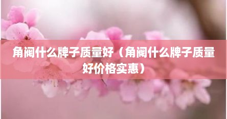 角阀什么牌子质量好（角阀什么牌子质量好价格实惠）