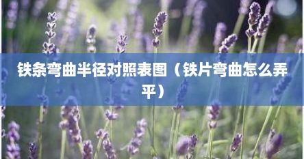 铁条弯曲半径对照表图（铁片弯曲怎么弄平）