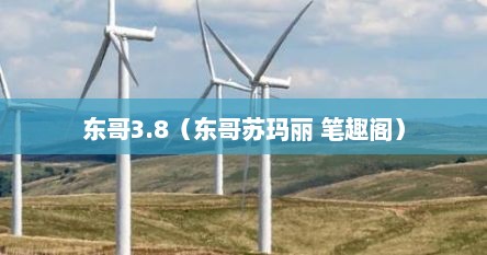 东哥3.8（东哥苏玛丽 笔趣阁）