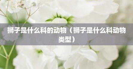 狮子是什么科的动物（狮子是什么科动物类型）