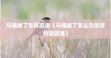 马桶堵了怎样疏通（马桶堵了怎么办怎样快速疏通）