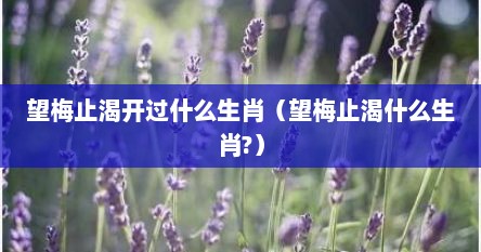 望梅止渴开过什么生肖（望梅止渴什么生肖?）