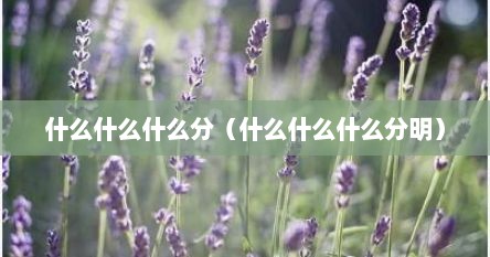 什么什么什么分（什么什么什么分明）