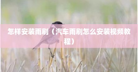 怎样安装雨刷（汽车雨刷怎么安装视频教程）