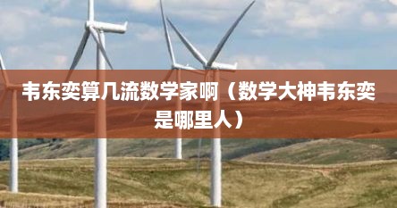 韦东奕算几流数学家啊（数学大神韦东奕是哪里人）