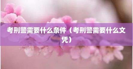 考刑警需要什么条件（考刑警需要什么文凭）