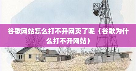谷歌网站怎么打不开网页了呢（谷歌为什么打不开网站）