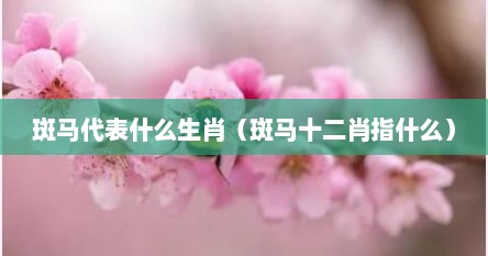 斑马代表什么生肖（斑马十二肖指什么）
