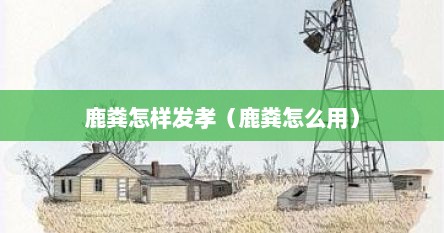 鹿粪怎样发孝（鹿粪怎么用）