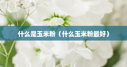什么是玉米粉（什么玉米粉最好）