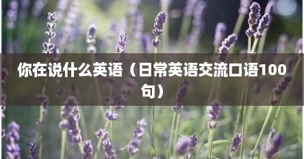 你在说什么英语（日常英语交流口语100句）