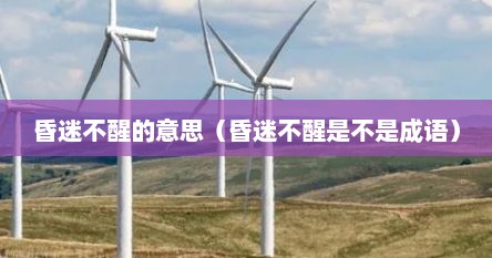 昏迷不醒的意思（昏迷不醒是不是成语）