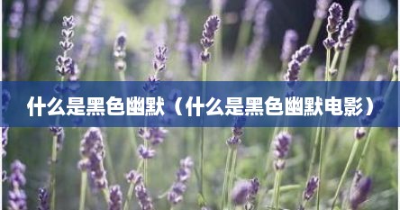 什么是黑色幽默（什么是黑色幽默电影）